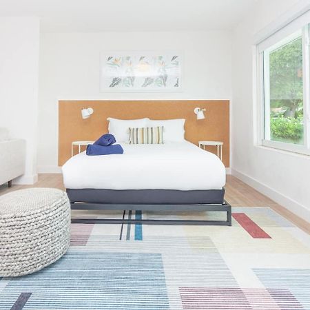 Large Stylish Studio Apartment In El Portal #3 Маямі Екстер'єр фото